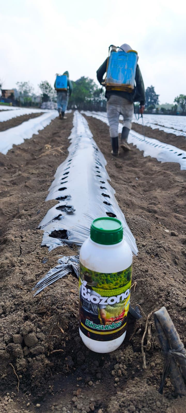 Foto agricultor 1