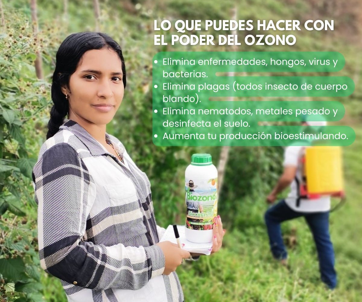 Misión
