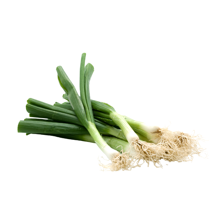 Cebolla de rama