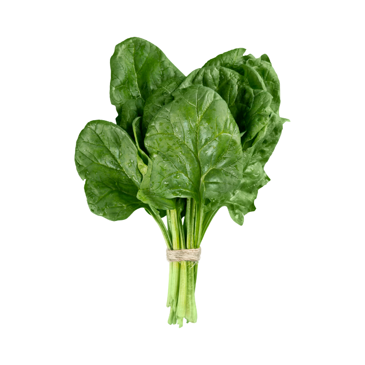 Espinaca