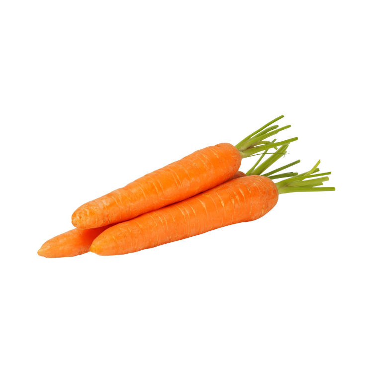 Zanahoria